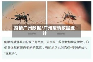 疫情广州数据/广州疫情数据统计