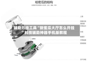 辅助开挂工具“新蜜瓜大厅怎么开挂”科技辅助神器手机版教程