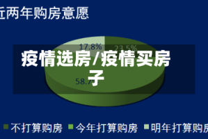 疫情选房/疫情买房子