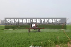 疫情乡镇春耕/疫情下的春耕生产