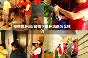 疫情的环境/疫情下的环境是怎么样的