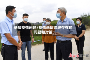 基层疫情问题/疫情基层治理存在的问题和对策