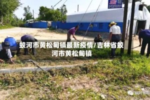 蛟河市黄松甸镇最新疫情/吉林省蛟河市黄松甸镇