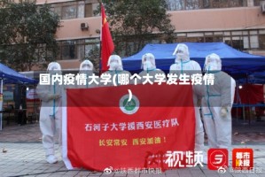 国内疫情大学(哪个大学发生疫情)