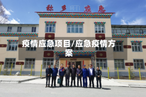 疫情应急项目/应急疫情方案