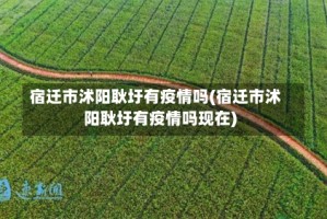 宿迁市沭阳耿圩有疫情吗(宿迁市沭阳耿圩有疫情吗现在)