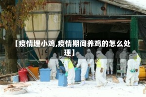 【疫情埋小鸡,疫情期间养鸡的怎么处理】