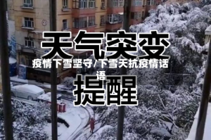 疫情下雪坚守/下雪天抗疫情话语