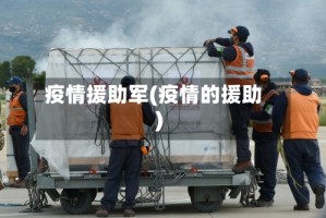 疫情援助军(疫情的援助)