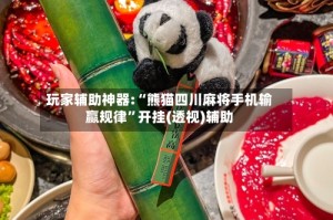 玩家辅助神器:“熊猫四川麻将手机输赢规律”开挂(透视)辅助