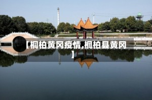 【桐柏黄冈疫情,桐柏县黄冈】