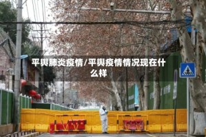 平舆肺炎疫情/平舆疫情情况现在什么样