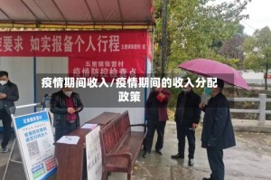 疫情期间收入/疫情期间的收入分配政策