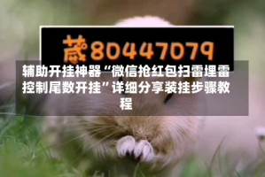 辅助开挂神器“微信抢红包扫雷埋雷控制尾数开挂”详细分享装挂步骤教程