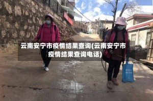 云南安宁市疫情结果查询(云南安宁市疫情结果查询电话)