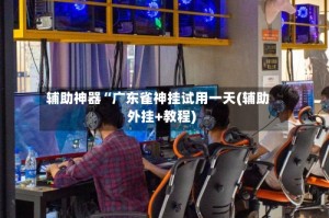 辅助神器“广东雀神挂试用一天(辅助外挂+教程)