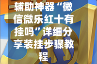 辅助神器“微信微乐红十有挂吗”详细分享装挂步骤教程