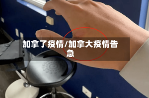 加拿了疫情/加拿大疫情告急