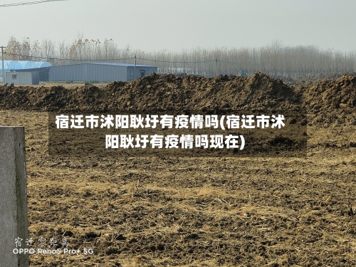 宿迁市沭阳耿圩有疫情吗(宿迁市沭阳耿圩有疫情吗现在)-第3张图片
