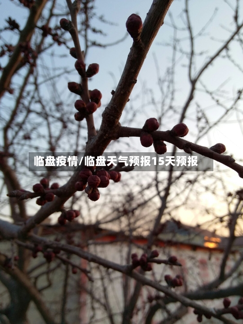 临盘疫情/临盘天气预报15天预报-第1张图片