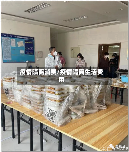 疫情隔离消费/疫情隔离生活费用-第1张图片
