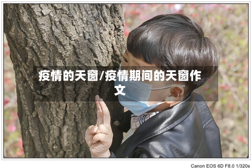 疫情的天窗/疫情期间的天窗作文-第2张图片