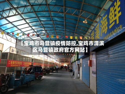 【宝鸡市马营镇疫情防控,宝鸡市渭滨区马营镇政府官方网站】-第1张图片