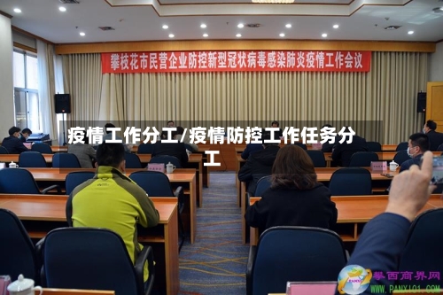疫情工作分工/疫情防控工作任务分工-第1张图片