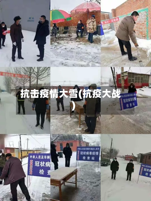 抗击疫情大雪(抗疫大战)-第2张图片