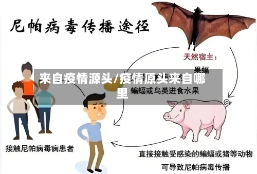 来自疫情源头/疫情原头来自哪里-第2张图片