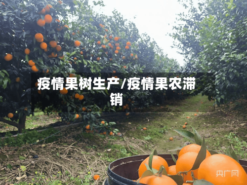 疫情果树生产/疫情果农滞销-第1张图片