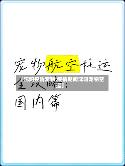 【沈阳疫情宠物,疫情期间沈阳宠物空运】-第1张图片