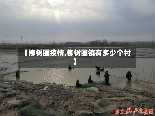 【柳树圈疫情,柳树圈镇有多少个村】-第1张图片