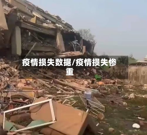 疫情损失数据/疫情损失惨重-第3张图片