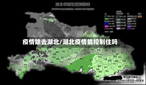 疫情除去湖北/湖北疫情能控制住吗-第2张图片