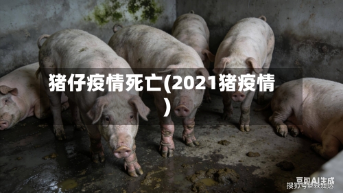 猪仔疫情死亡(2021猪疫情)-第1张图片