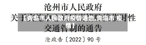 【青岛市人民政府疫情通告,青岛市 疫情】-第2张图片