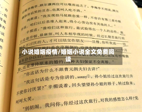 小说婚姻疫情/婚姻小说全文免费阅读-第1张图片