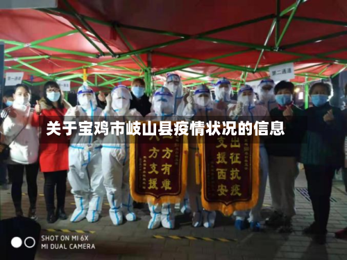 关于宝鸡市岐山县疫情状况的信息-第1张图片