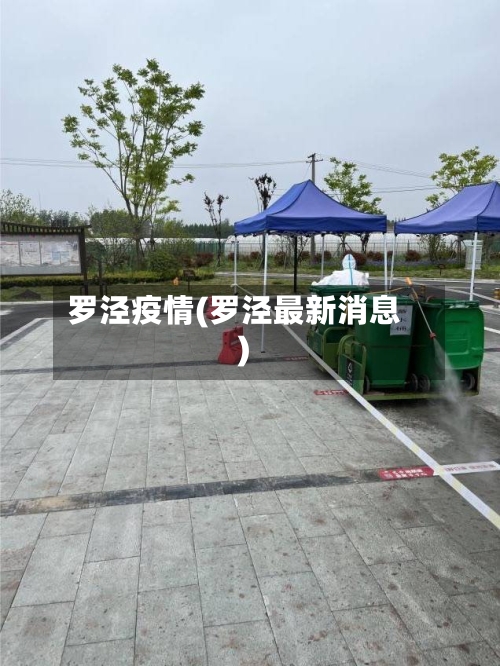 罗泾疫情(罗泾最新消息)-第1张图片