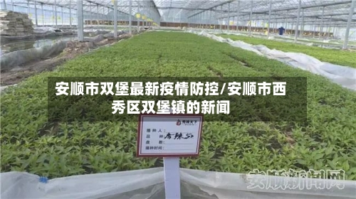安顺市双堡最新疫情防控/安顺市西秀区双堡镇的新闻-第2张图片