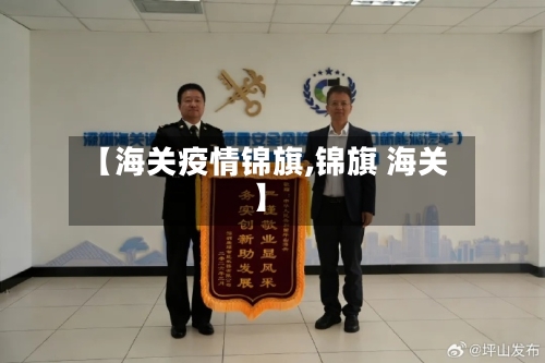 【海关疫情锦旗,锦旗 海关】-第2张图片