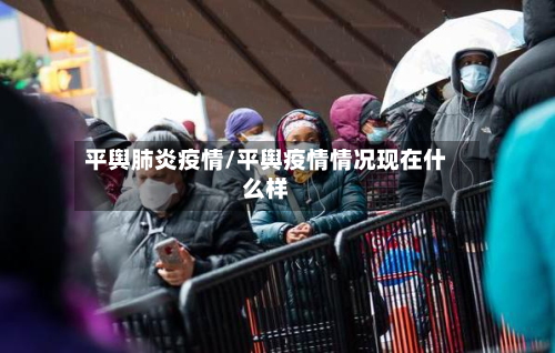 平舆肺炎疫情/平舆疫情情况现在什么样-第2张图片