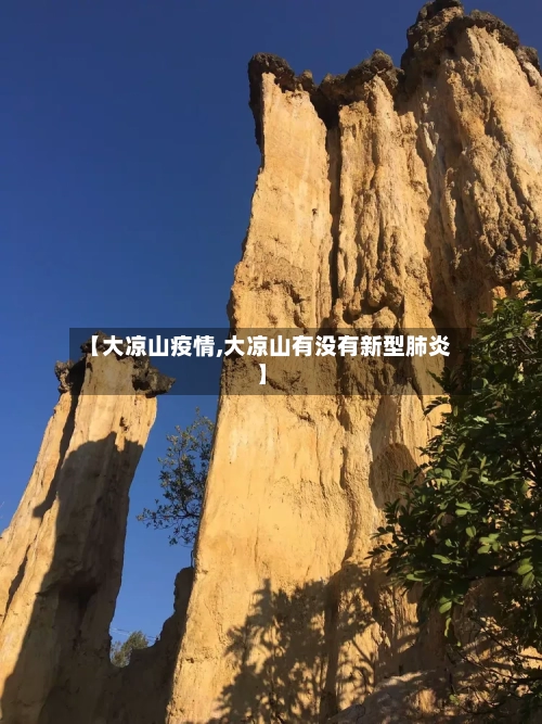 【大凉山疫情,大凉山有没有新型肺炎】-第3张图片