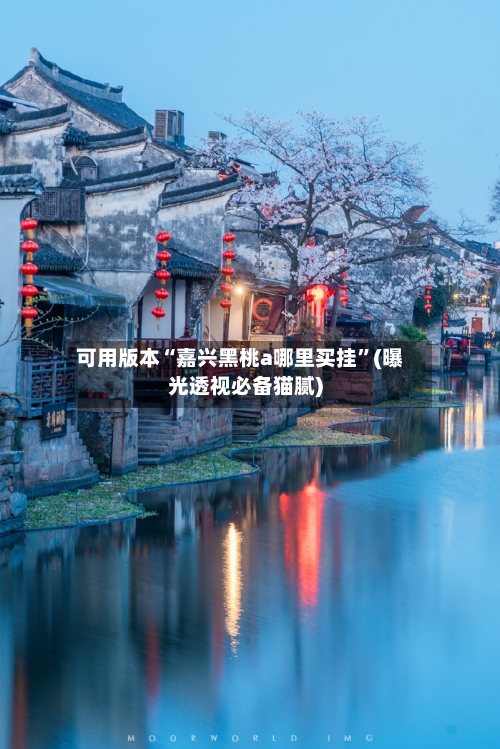 可用版本“嘉兴黑桃a哪里买挂”(曝光透视必备猫腻)-第1张图片