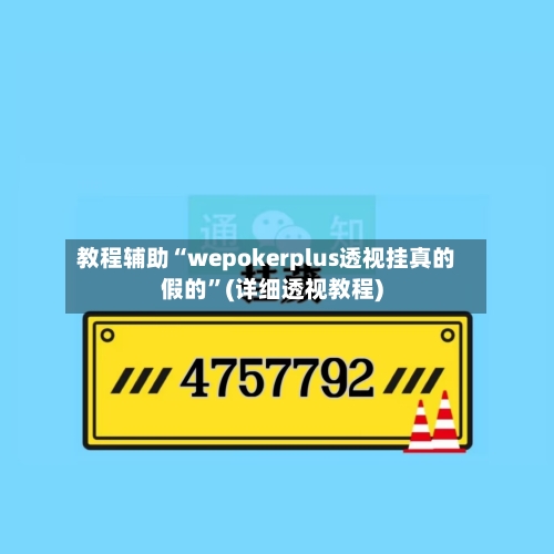 教程辅助“wepokerplus透视挂真的假的”(详细透视教程)-第3张图片