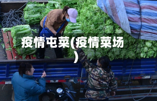 疫情屯菜(疫情菜场)-第1张图片
