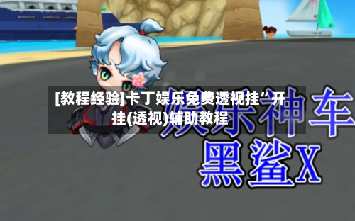 [教程经验]卡丁娱乐免费透视挂”开挂(透视)辅助教程-第1张图片