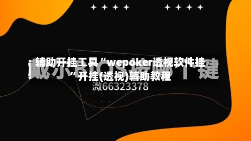 辅助开挂工具“wepoker透视软件挂”开挂(透视)辅助教程-第1张图片