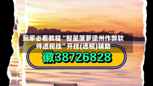 玩家必看教程“智星菠萝德州作弊软件透视挂”开挂(透视)辅助-第1张图片